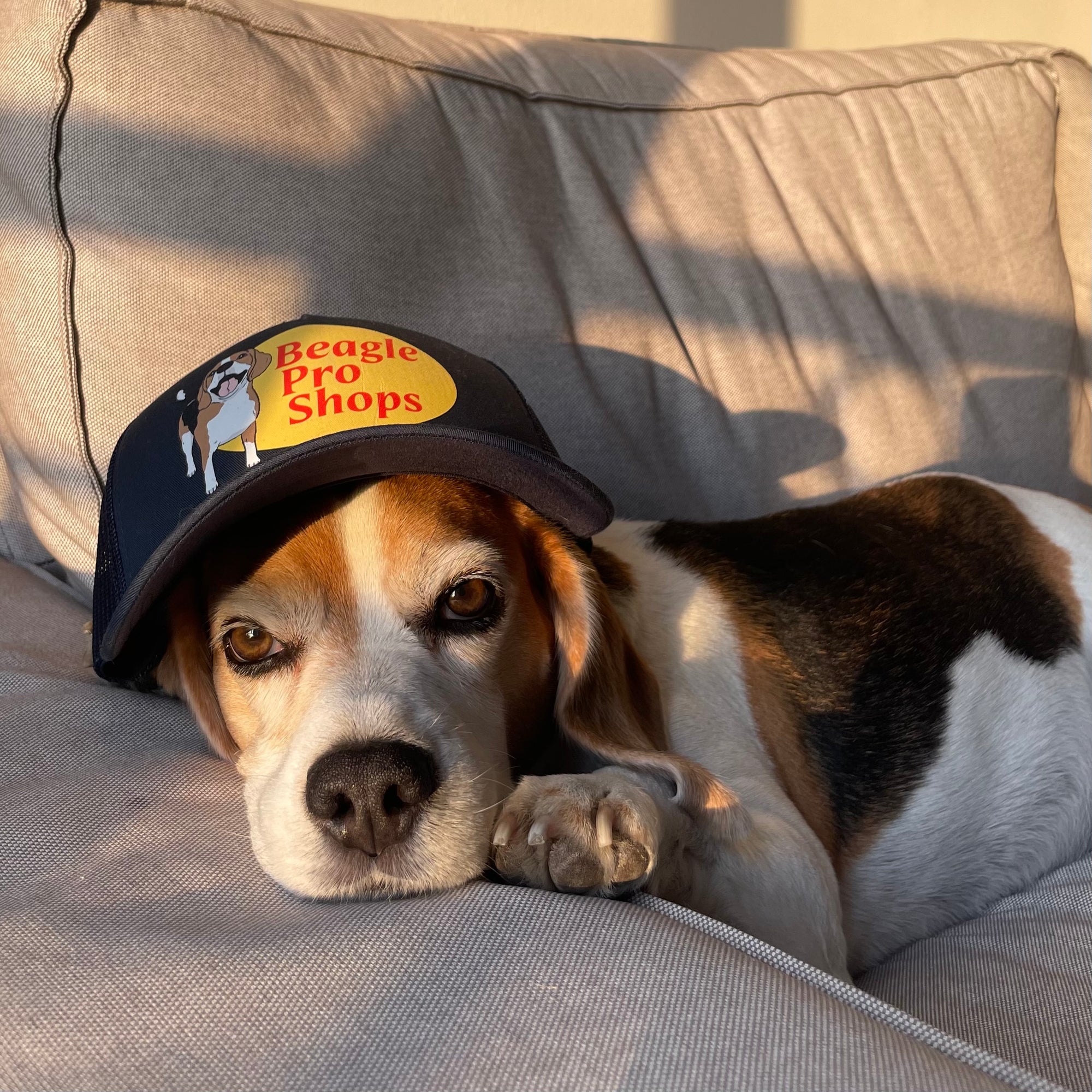 Big Rig Trucker Hat - Beagle Pro Shops